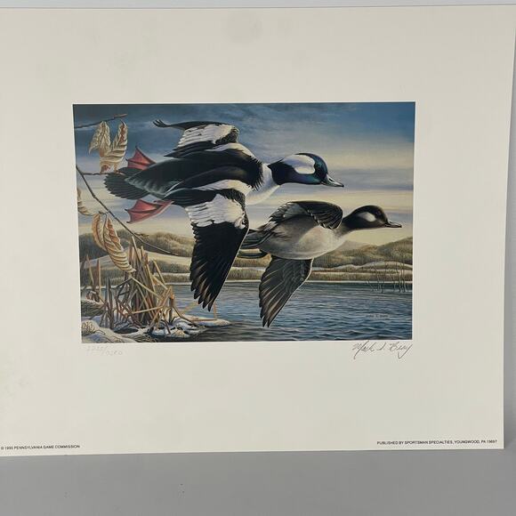 Pennsylvania Waterfowl Management Stamp Print Bufflehead Ducks 1995 #2235/7380 - Picture 4 of 4